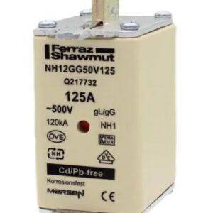 Fusible NH 1 125A 500V GG
