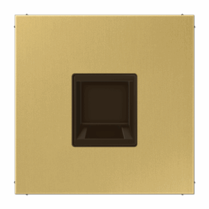 Jung Placa Mod. Jack-Rad. 1 toma LS lat. cl.